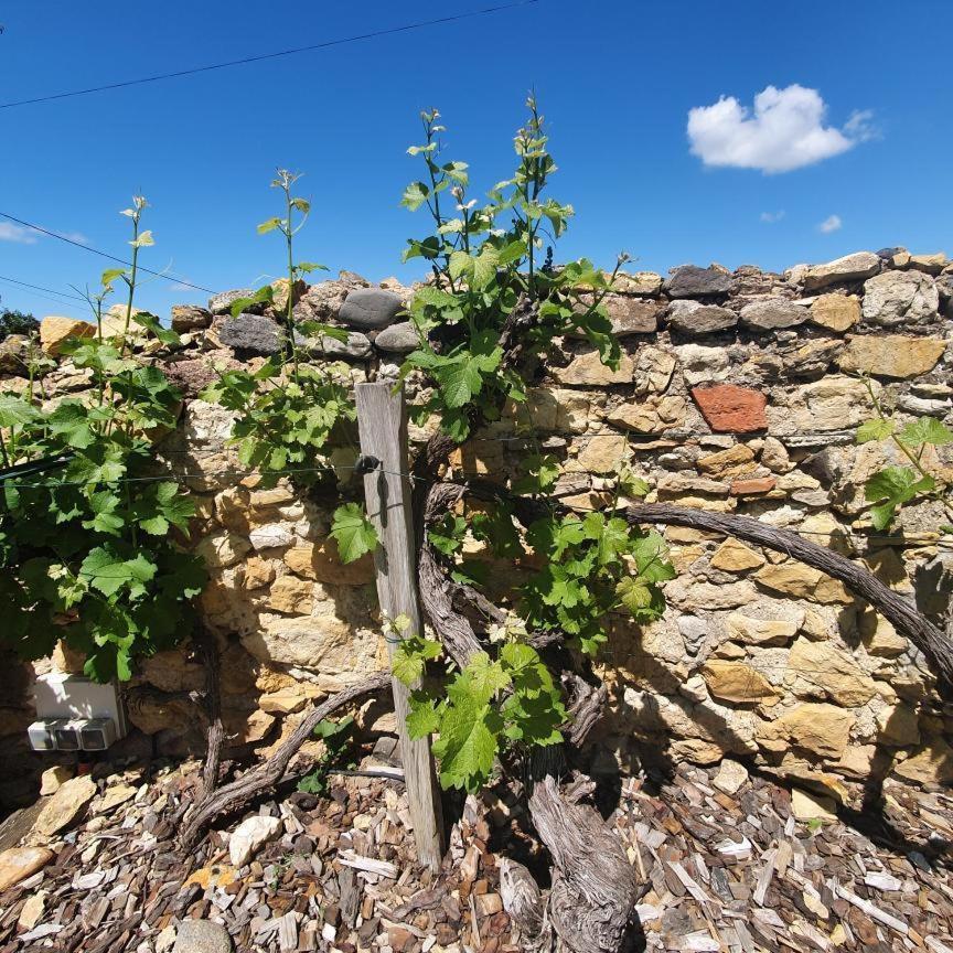 La Maison De Roussi Nonette Luaran gambar
